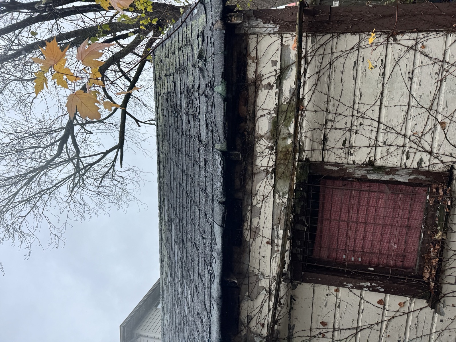 Old wooden shed behind a house in autumn