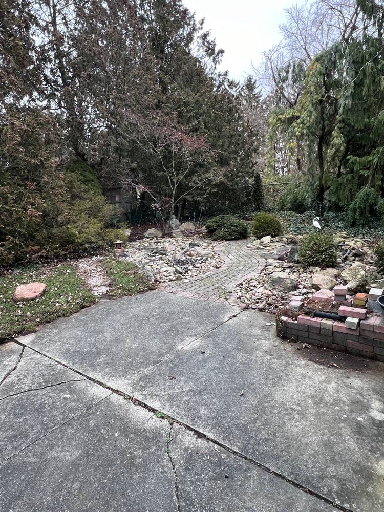 Tissiman, Chatham — Jan 2024